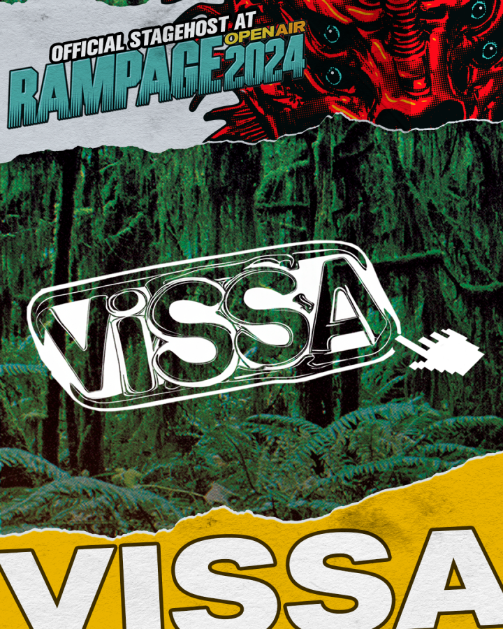 Vissa